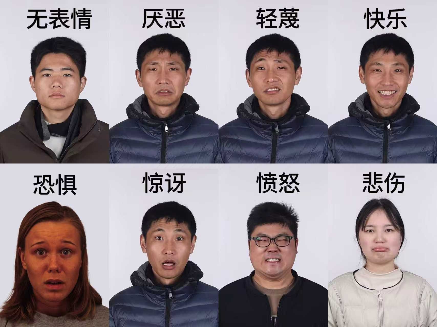 动作表情